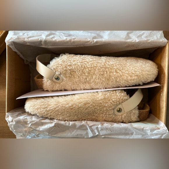 🤎 Seychelles Buckle Up Clog 🤎 - Picture 6 of 7